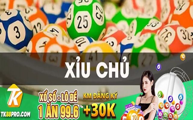 Xỉu chủ